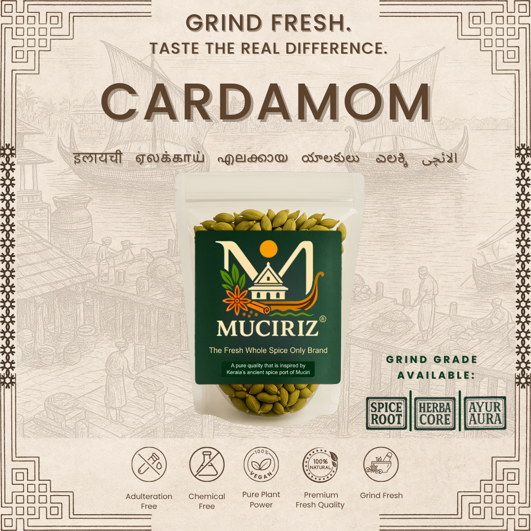 Cardamom (8mm)