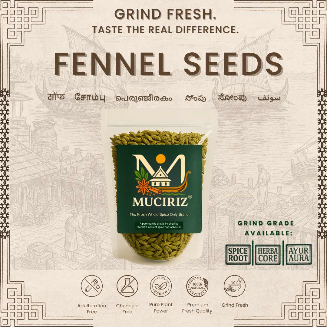 Fennel Seeds