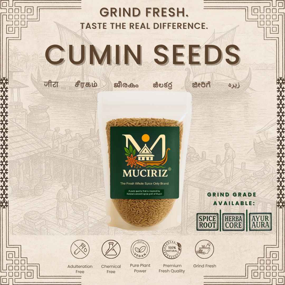 Cumin seeds