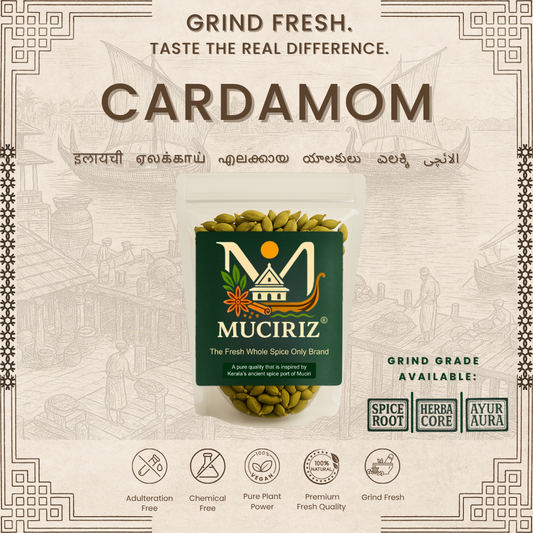 Cardamom (8mm)