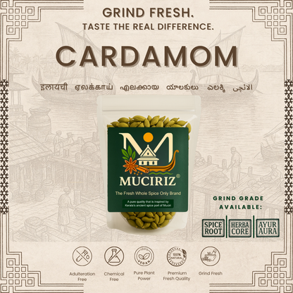 Cardamom (8mm)