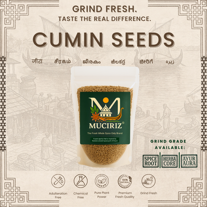 Cumin seeds